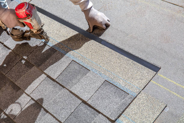 Best Storm Damage Roof Repair  in Alva, FL